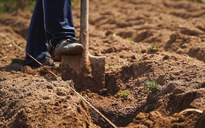 Shovel & Digging Equipment